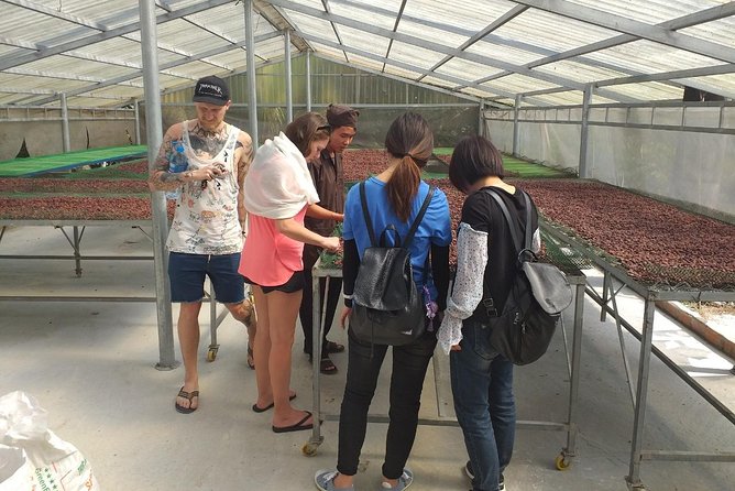 1-Day Mekong Delta Tour: Less-Touristy Cai Be & Vinh Long(Max 10) - Cai Be workshops: pop rice, rice paper, rice wine, and coconut candy