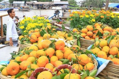 3-Day Mekong Delta Tour including: Cai Rang floating market - Cai Rang Floating Market at 6:00AM: the experience that sells the whole trip