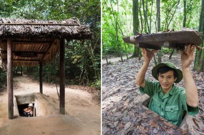 6-Day Vietnam Itinerary | Vibrant | Best 2026 South & Island - Day 1: Tan Son Nhat pickup and Cu Chi Tunnels with real atmosphere