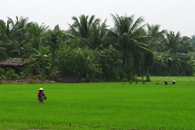 Adventure Cu Chi Tunnels and Mekong Delta Tour From HCM - Should You Book This Tour?