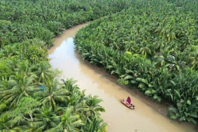 Ben Tre Mekong Zig Zag: Scooter, Sailboat, and Food (Full day) - The Ride Style: Scooter or Tuktuk With a Driver and Helmet