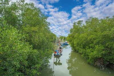 Can Gio Mangrove Forest 1 day tour - Sugar Cane at Dan Xay Pier: The First Real Taste of the Day