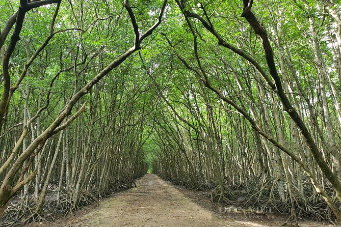 Can Gio Mangrove Forest 1 day tour - Price and Value: Is $55 a Good Deal?