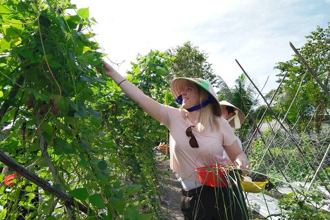Explore Vietnamese Cuisine: Cooking Class from Ho Chi Minh City - The certificate and recipes: your souvenir that actually helps