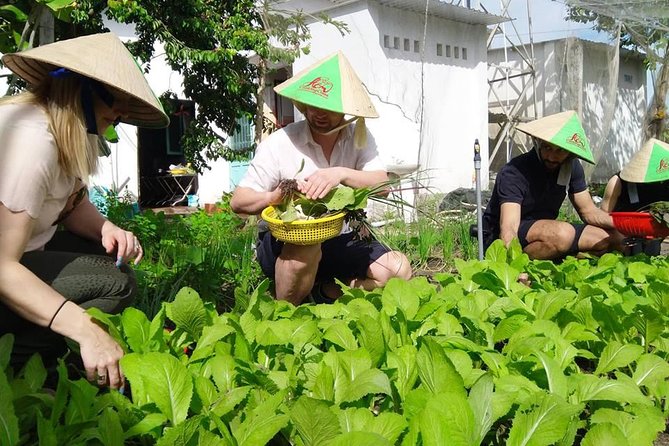 Explore Vietnamese Cuisine: Cooking Class from Ho Chi Minh City - Who should book this cooking class (and who might not)