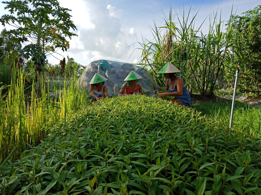 Farm-To-Table Healthy Cooking Class: Half-Day Tour - Mushroom House and Rice Lessons: Food Science for the Curious