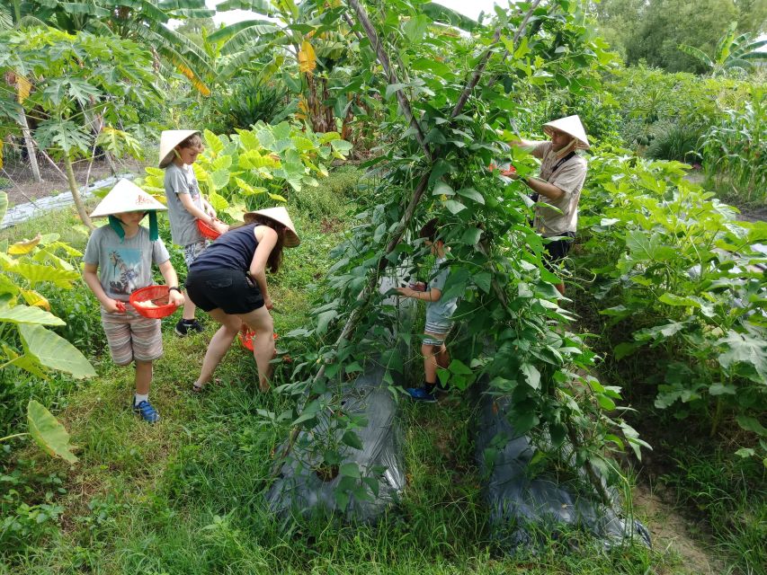 Farm-To-Table Healthy Cooking Class: Half-Day Tour - What You’ll Eat: Lunch That Tastes Like the Farm