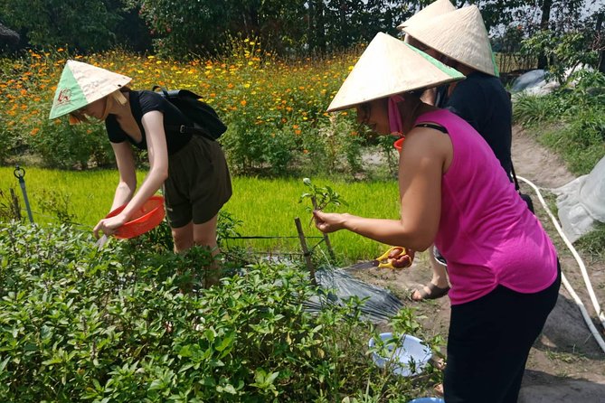 Farm-To-Table Healthy Cooking Class in Ho Chi Minh City - Cooking outdoors: four dishes, one at a time, with tasting built in