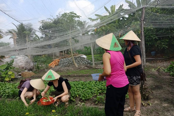 Farm-To-Table Healthy Cooking Class in Ho Chi Minh City - What’s included—and what you’ll need to budget for