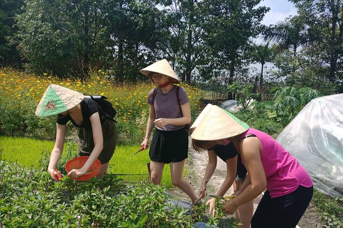 Farm-To-Table Healthy Cooking Class in Ho Chi Minh City - Price and value: why $67 can make sense for this format