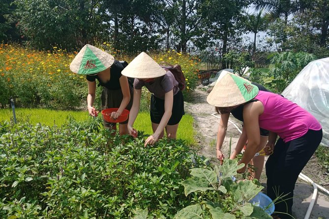 Farm-To-Table Healthy Cooking Class in Ho Chi Minh City - The farm tour: cows, buffalo, herbs, and what you’ll actually use
