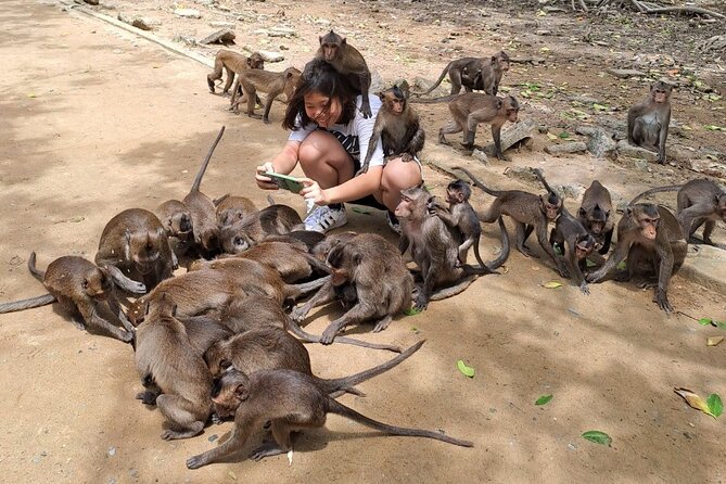 From Ho Chi Minh: Can Gio Trek – Monkey Island & Crocodile Farm - Crocodile time at Hoa Ca: interesting, but don’t expect a long exhibit