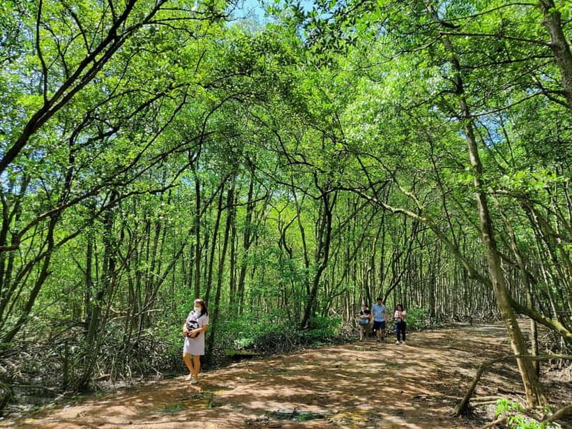 From Ho Chi Minh City: Can Gio Mangrove & Monkey Island Trek - Hoa Ca Crocodile Reserve: A Wildlife Stop With Real Contrast
