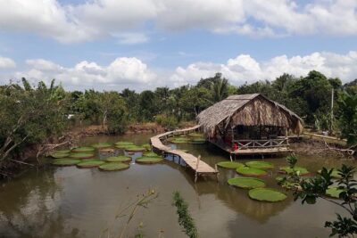 Full-day Cai Rang floating market - explore countryside, make bakery - from HCM - Sông Cần Thơ Canals and Binh Thuy Ancient House: Short Stops, Good Texture