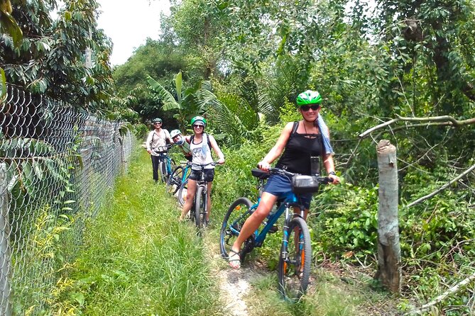 Full Day Off The Beaten Track the Mekong Delta. - Lunch in a local restaurant (vegetarian option included)