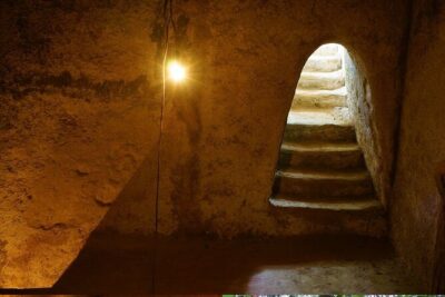 Half-Day Cu Chi Tunnels Guided Exclusive Experience with Pick Up - Price and Logistics: Pickup, Drive Time, and Group Size