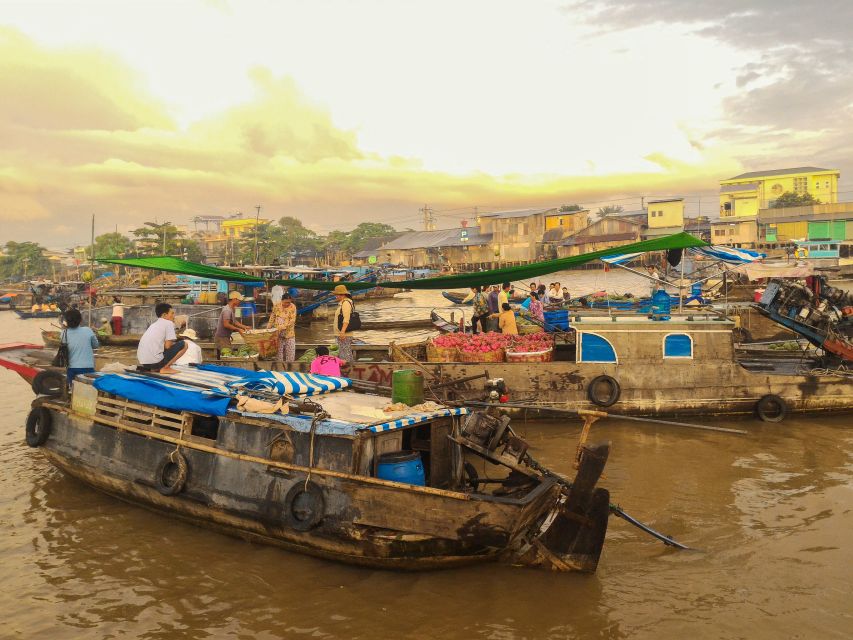 HCMC: Cai Rang Floating Market & Mekong Delta Private Tour - Bee farm, honey tea, fruit, and village music breaks up the travel