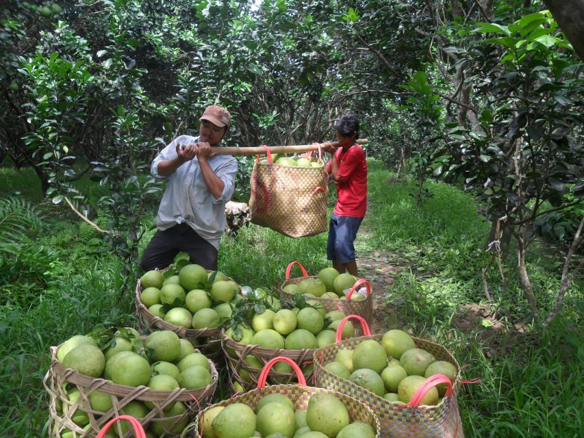 HCMC: Cai Rang Floating Market & Mekong Delta Private Tour - Price and value: why $140 for a private day can make sense