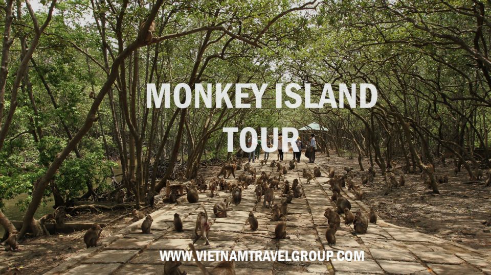 HCM:Can Gio Mangrove Forest Tour-Monkey Island - Key highlights worth planning for