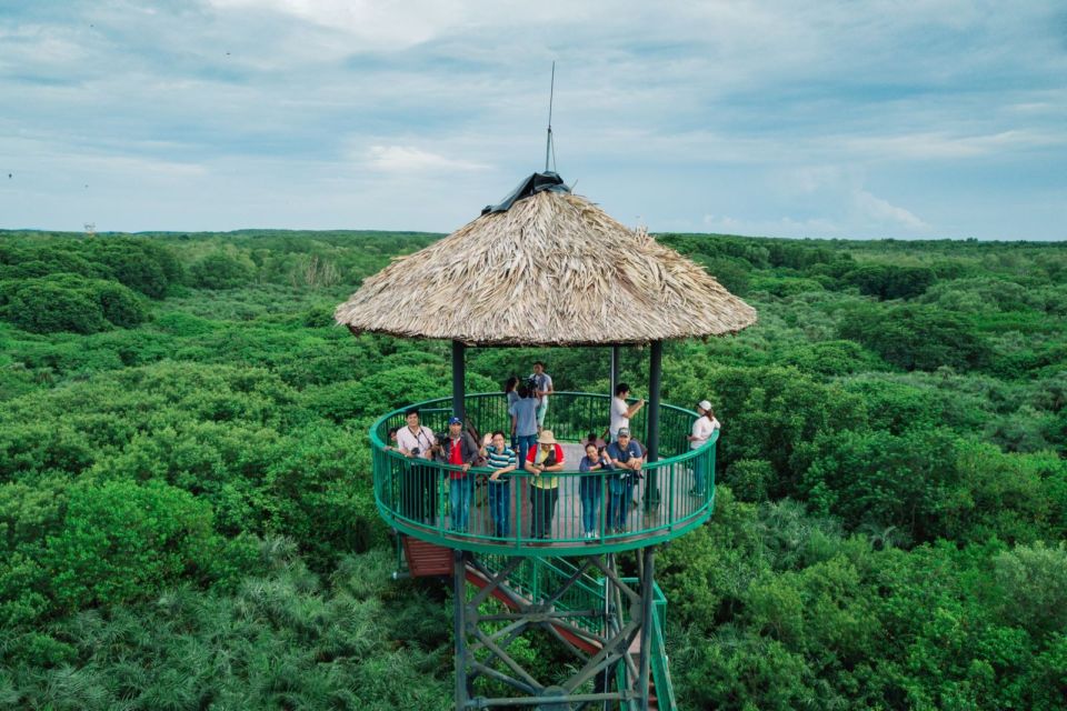 HCM:Can Gio Mangrove Forest Tour-Monkey Island - Entering Cần Giờ: why this day trip is more than a zoo stop