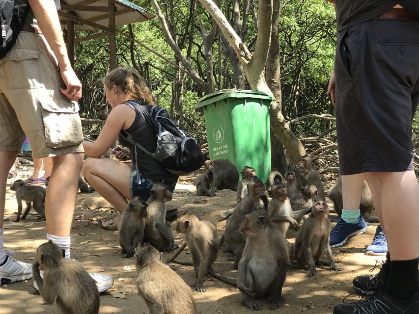 HCM:Can Gio Mangrove Forest Tour-Monkey Island - Crocodile Farm: reptiles, feeding sessions, and a possible weekend add-on