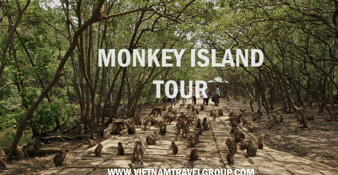 HCM:Can Gio Mangrove Forest Tour-Monkey Island - Pickup, drive time, and what your morning really feels like