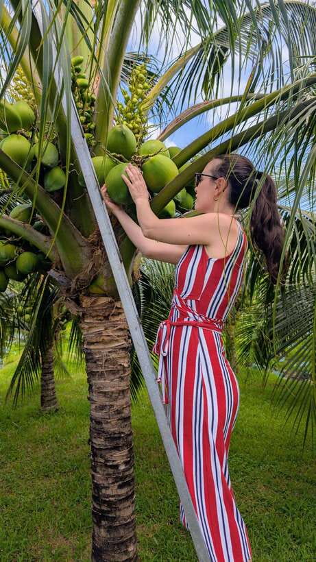 Ho Chi Minh: 1-Day Mekong Delta Tour-Floating Market & Islet - Comfort, timing, and what to pack so the day feels easy