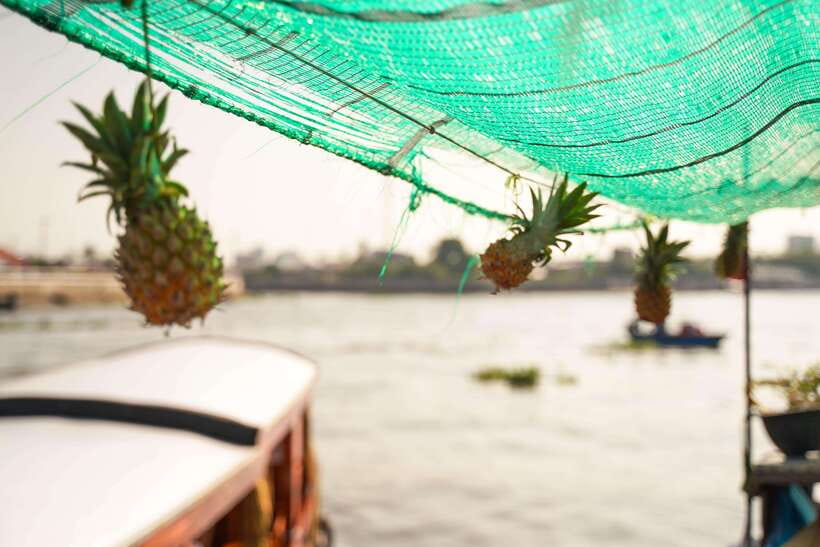 Ho Chi Minh: 3-Day Mekong Delta & Optional Exit to PhnomPenh - Who should book this Mekong Delta tour with Phnom Penh?