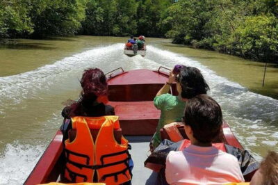 Ho Chi Minh: Can Gio Mangrove and Monkey Island - Price and What the $44 Buys You