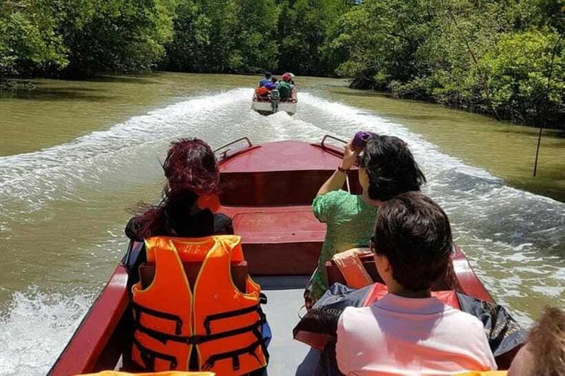 Ho Chi Minh: Can Gio Mangrove and Monkey Island - Touring the Sac Guerrilla Base: Jungle-Era Reality