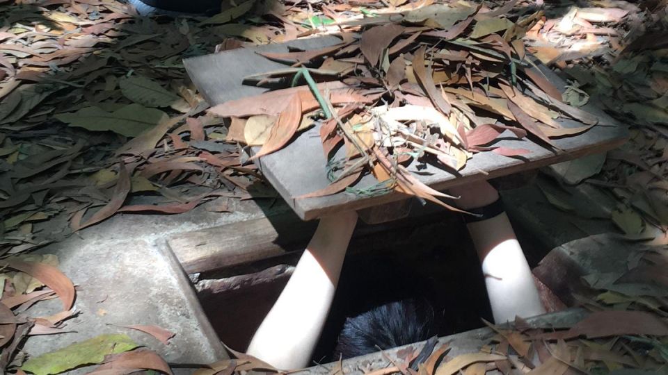 Ho Chi Minh City: Cu Chi Tunnels and Gun Shooting Experience - Optional gun shooting: fun for some, extra cost for everyone