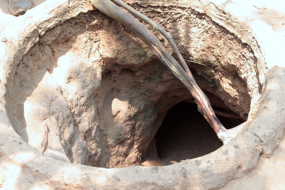 Ho Chi Minh City: Cu Chi Tunnels Morning or Afternoon Tour - The crawl through the tunnels: tight space, heat, and a real sense of pressure