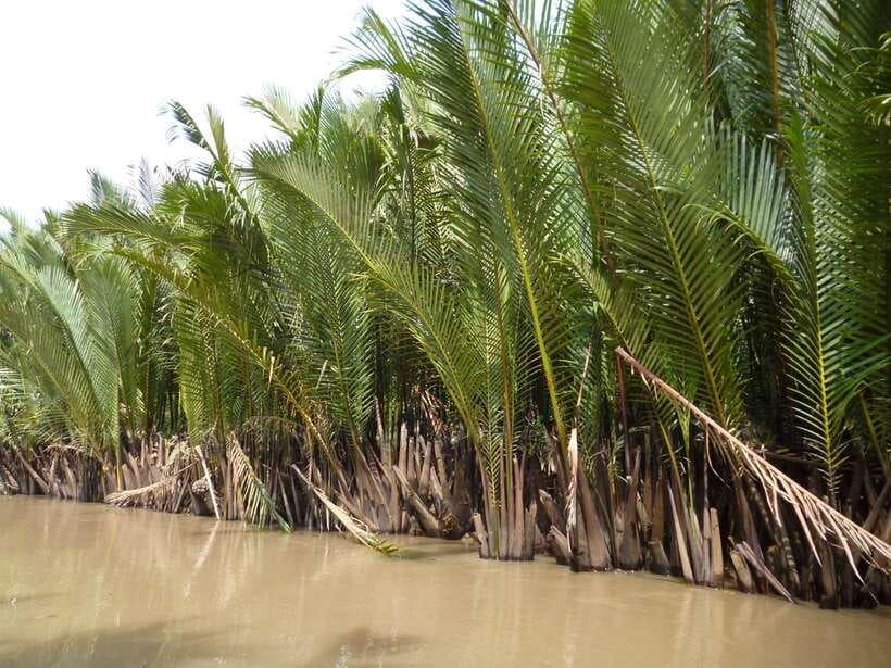 Mekong Day Tour by Car:Cai Be market, Local Island & Cycling - Who this Mekong Delta Cái Bè day tour suits best