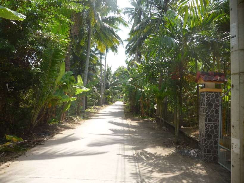 Mekong Day Tour by Car:Cai Be market, Local Island & Cycling - From Ho Chi Minh City to the Delta: the drive sets your expectations