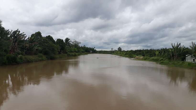 Mekong Day Tour by Car:Cai Be market, Local Island & Cycling - Private Mekong boat tour: the best way to understand river life