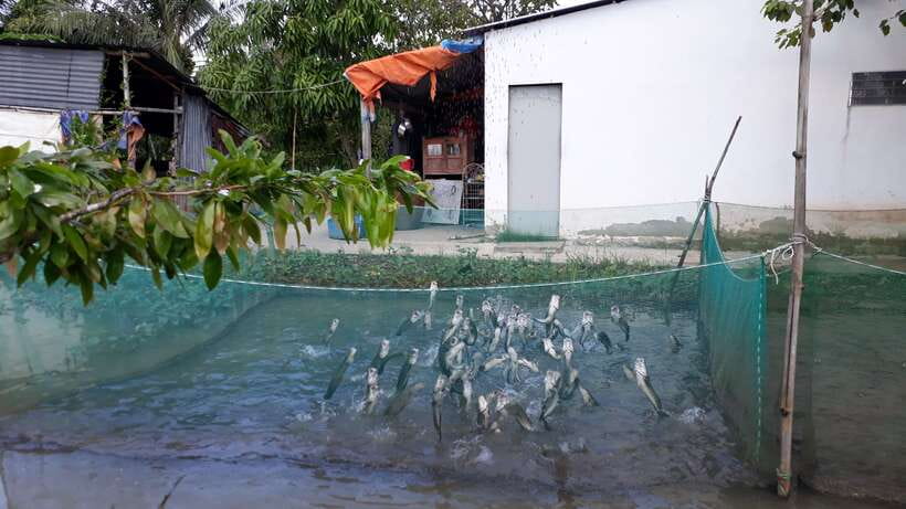Mekong Day Tour by Car:Cai Be market, Local Island & Cycling - Village paths and optional cycling: post-lunch energy, your way