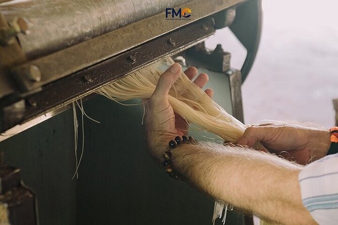 Mekong day tour Visit Cai Rang Floating Market pick up in Sai Gon - Ninh Kiều Wharf cruise and the boat breakfast you’ll remember