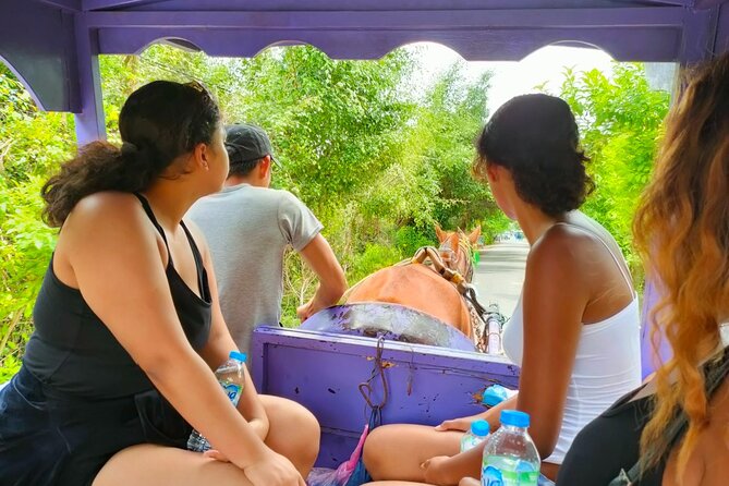 Mekong Delta Tour Daily - Hotel pickup, timing, and how the day stays doable