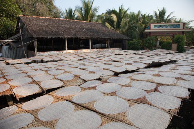 Mekong Delta Tour Full Day Cai Be-Vinh Long - Should you book this Mekong Delta full-day tour?