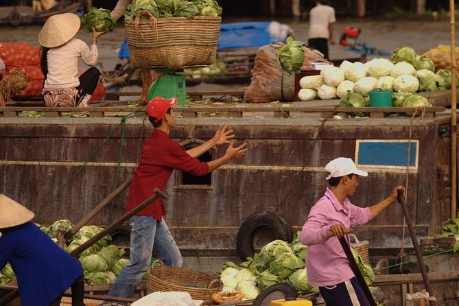 Mekong Delta Trip To Cai Be - Tan Phong Island With Lunch - Don ca tai tu and rural village time: culture you can watch, not just read