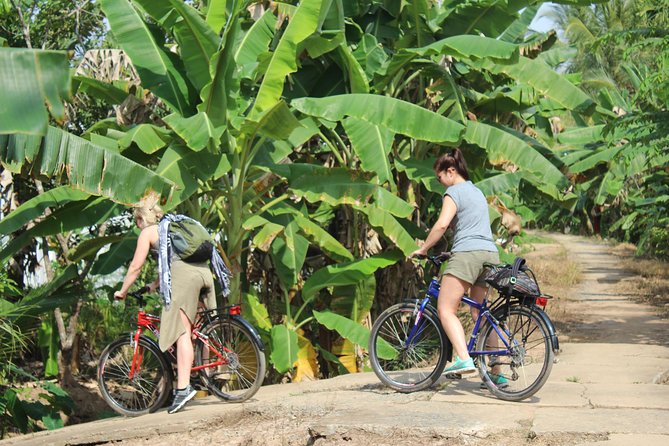 Non Touristy - Mekong Delta 1 Day With Biking - Getting from Ho Chi Minh City to the Mekong, fast and focused