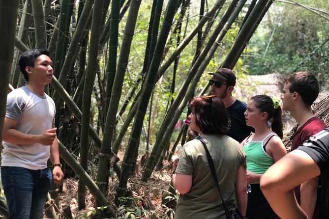 Private Cu Chi Tunnels Tour - Explore History & Off-the-path Local Sites - From Ho Chi Minh City to Cu Chi: what that first hour gives you