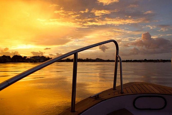 PRIVATE Luxury Sunset Mekong Afternoon trip from HCM city - Bee Farm, Honey Tea, and a Peaceful Row on Small Branches