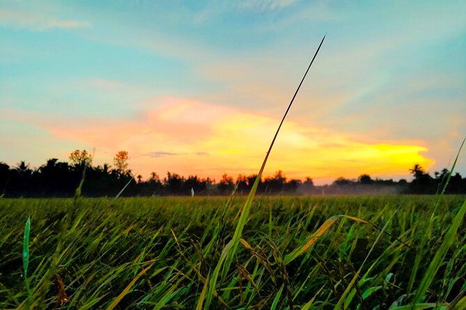 PRIVATE Mekong Delta 1 Day with Kayaking, Biking & Cooking - From Ho Chi Minh City to My Tho–Ben Tre: a one-day Delta plan that works