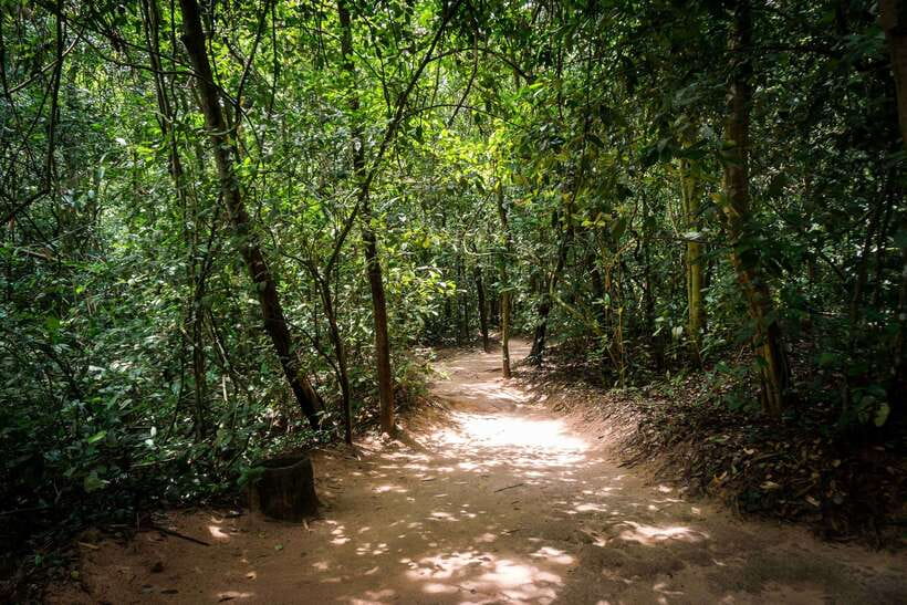 Small Group Full-Day Cu Chi Tunnels and Mekong Trip - Practical Tips for a Smooth Day