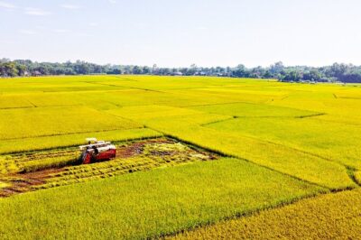 Standard 1 Day Cu Chi Tunnels & Mekong Delta - Morning pickup and the drive toward Cu Chi