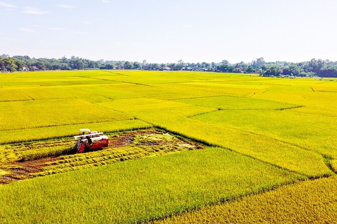Standard 1 Day Cu Chi Tunnels & Mekong Delta - Morning pickup and the drive toward Cu Chi